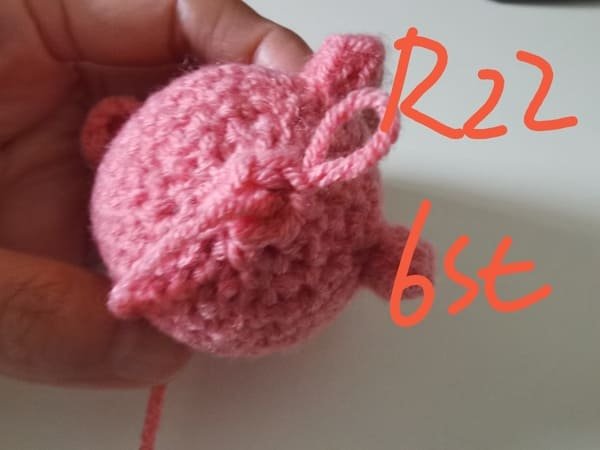 6 stitches for round 22 for crochet pig