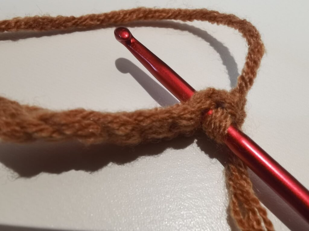 Insert your hook into the next stitch of your foundation row.
