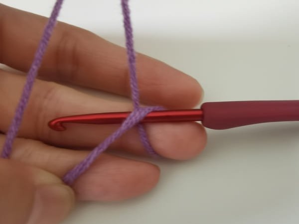 Slide the hook under the top yarn and catch the yarn beneath it.