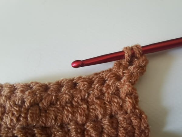 bring out 2 loops (2 loops on the hook).