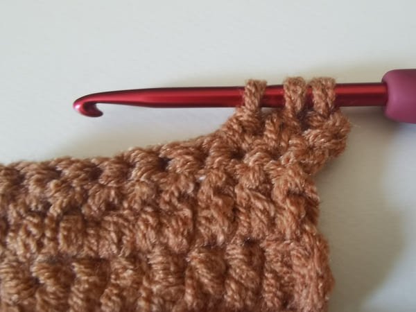 bring out 2 loops (3 loops on the hook).