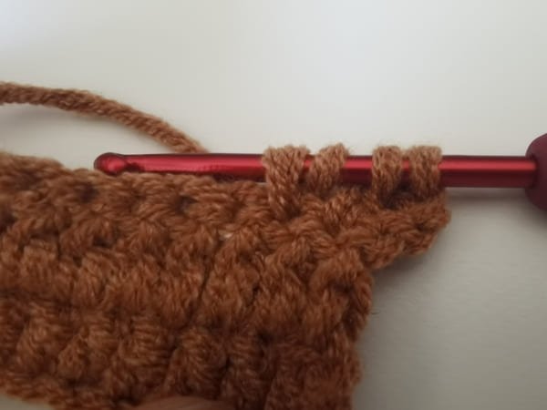 bring out a loop (4 loops on the hook)