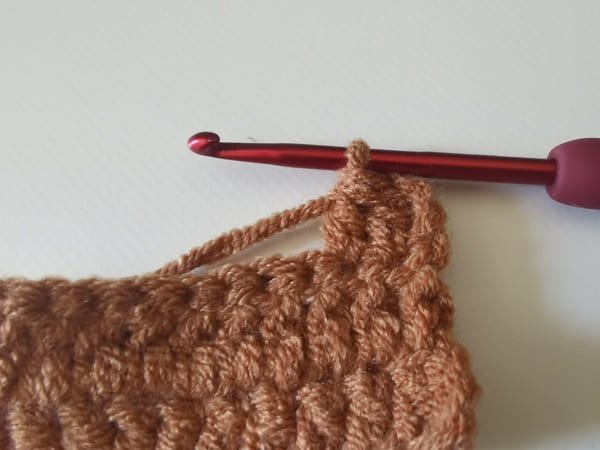 bring out all 3 loops.( 1 hoop on the hook, which is double crochet decrease).
