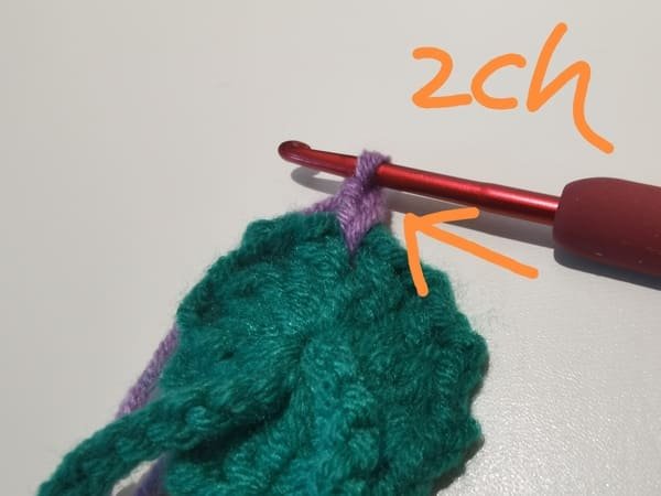 crochet 2 chain stitches for grape crochet