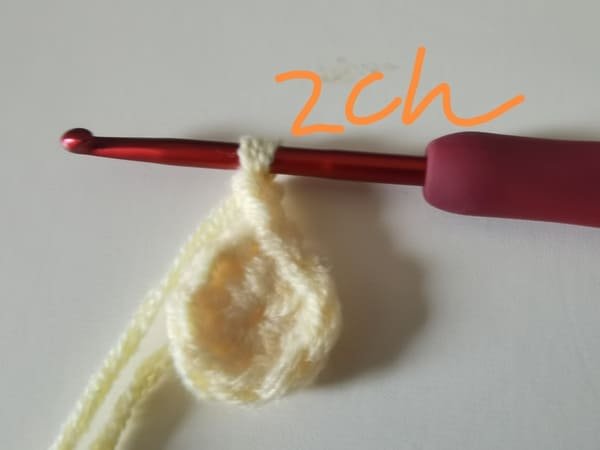 crochet 2 chain stitches for round 2