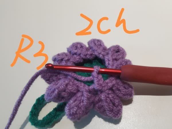 crochet 2 chain stitches for round 3