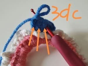 crochet 3 double crochets in next chain stitch