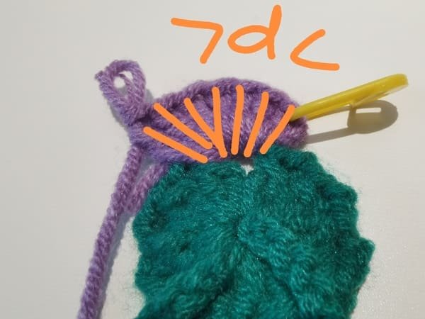 crochet 7 double stitches in same holes for the first grape