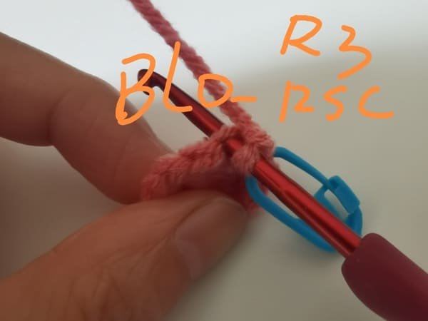 crochet order for round 3- BLO 12 single crochets for crochet pig