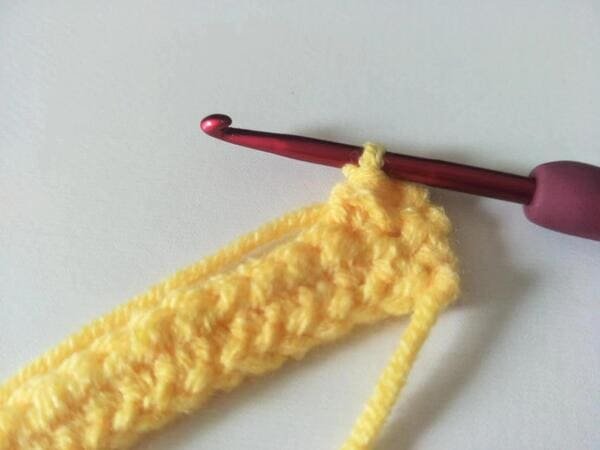 get one loop one the hook ,which is half double crochet decrease