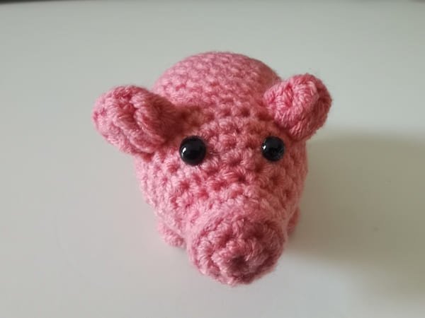 glue the eyes on the round 6 for crochet pig