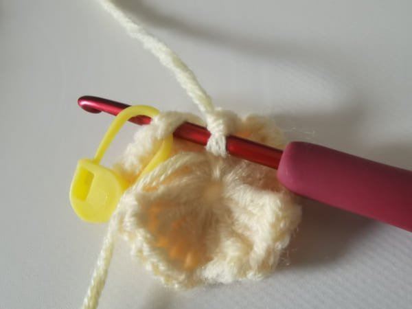 hook insert the first stitch for slip stitch.