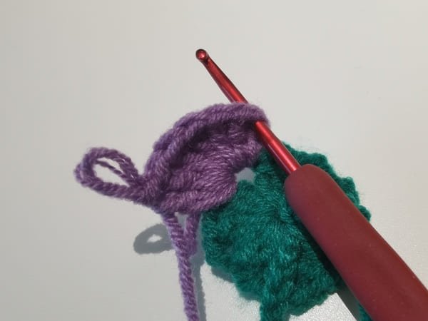 hook insert the first stitch