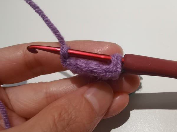 hook insert the last stitch