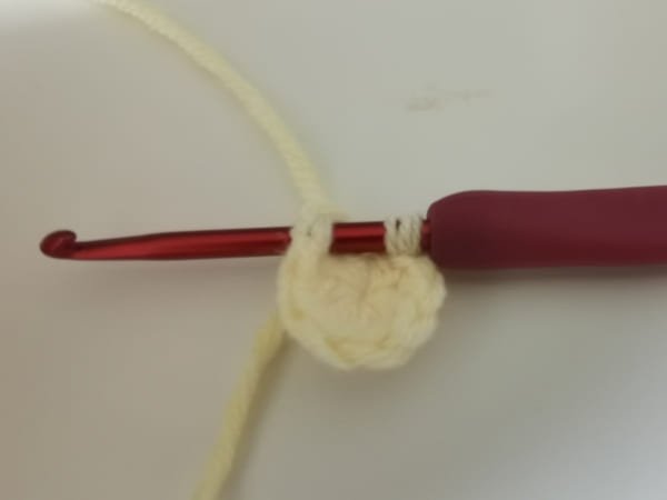 insert hook in to the first stitch