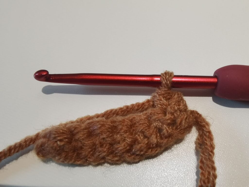 pull through both loops to finish your first single crochet