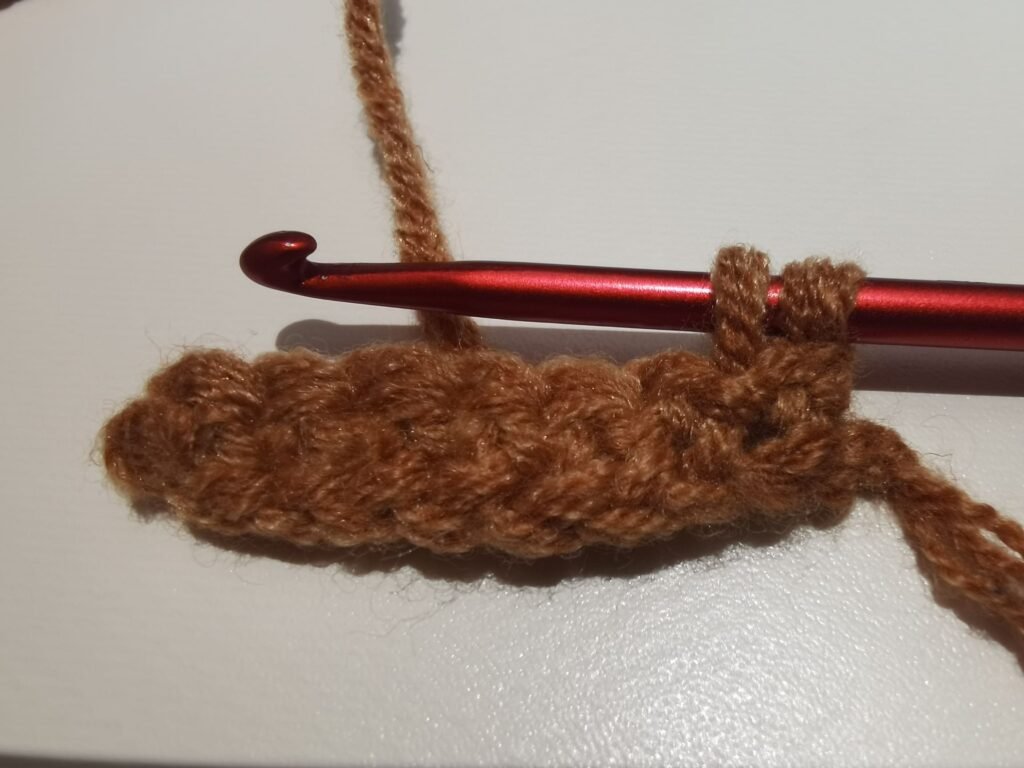 pull up a loop so you have two loops on the hook for the first single crochet