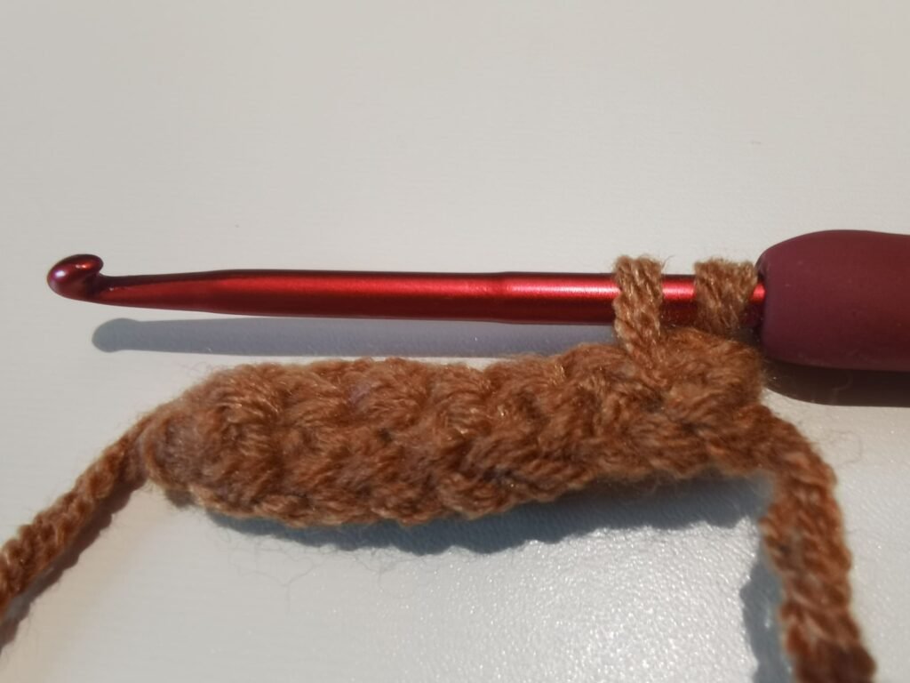 pull up a loop so you have two loops on the hook for the second single crochet