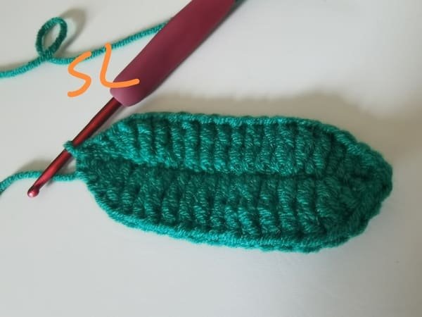 slip stitch for round 1 for pea pod.