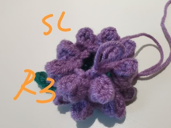 slip stitch with first chain stitch for round 3