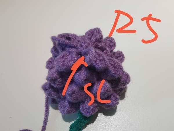 slip stitch with first chain stitch for round 5.