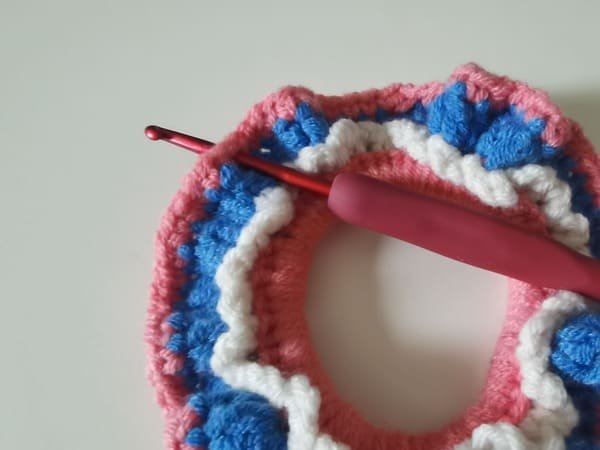 the hook insert one of any stitch for round 5