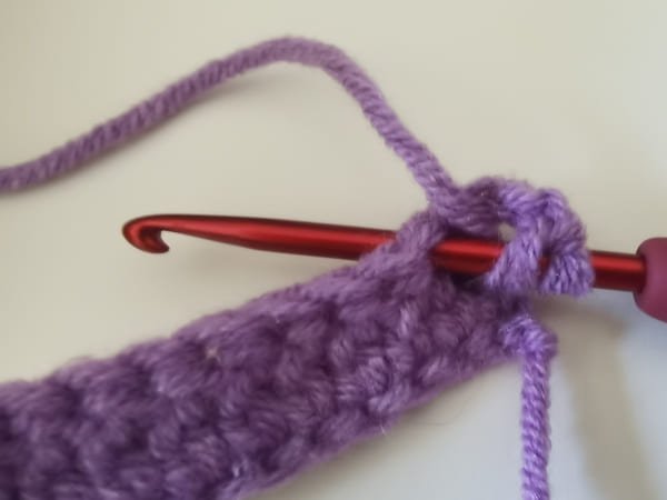 the hook insert the stitch for double crochet increase