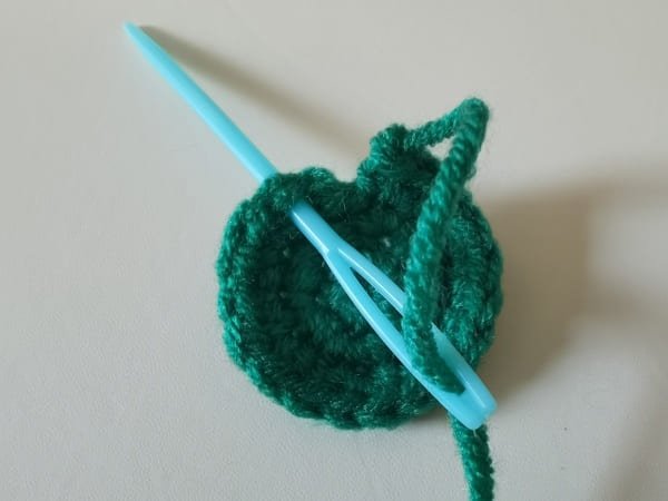 the hook inset the first stitch for slip stitch