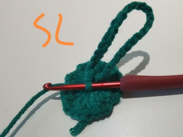 then bring out one loop, then slip stitch with the last chain stitch.