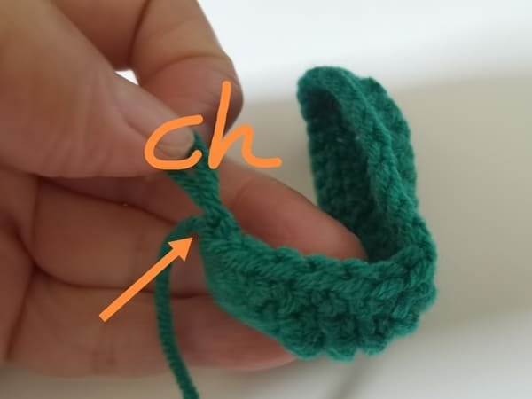 then we crochet chain stitch for pea pod