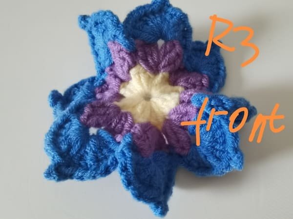 view of front for round 3 for crochet butterfly pattern