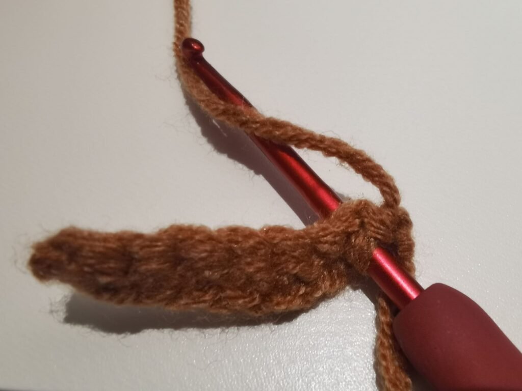 yarn over for the first single crochet