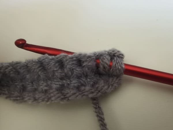 Insert your hook into the next stitch again