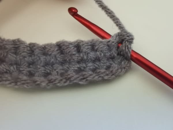 Insert your hook into the next stitch.