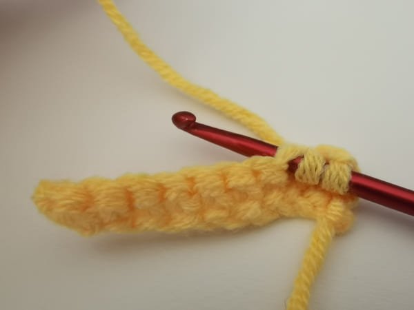 Insert your hook into the second stitch.