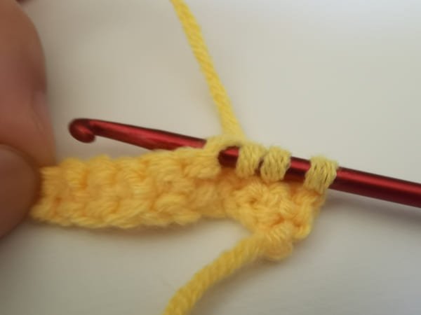 Insert your hook into the third stitch.