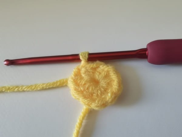 slip stitch to close